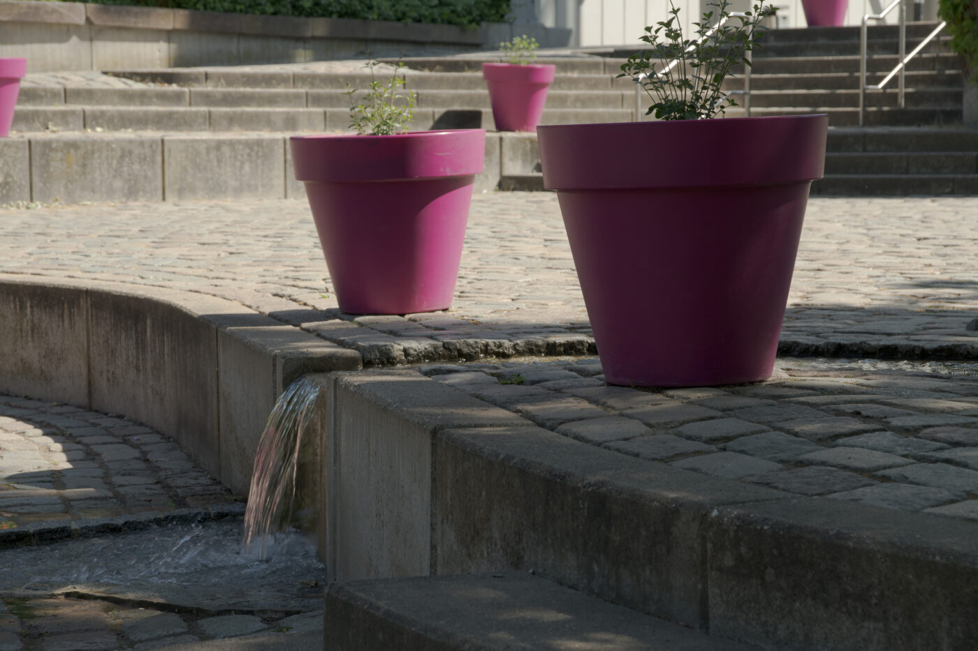 2025-05-14 - Hamm - Maximilianpark