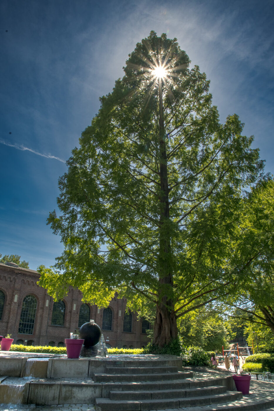 2025-05-14 - Hamm - Maximilianpark