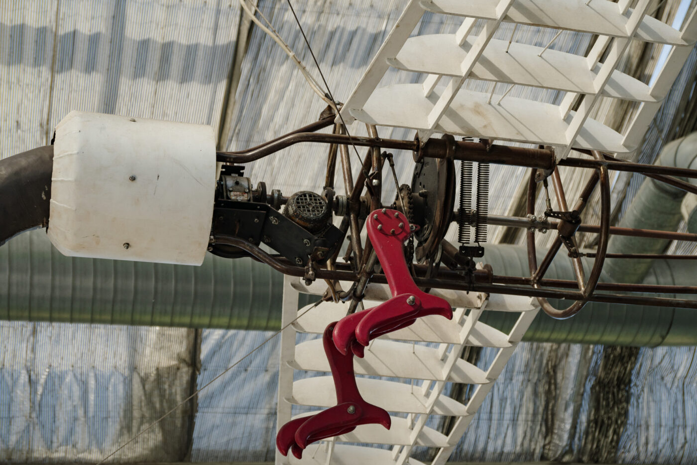 2025-05-14 - Hamm - Maximilianpark