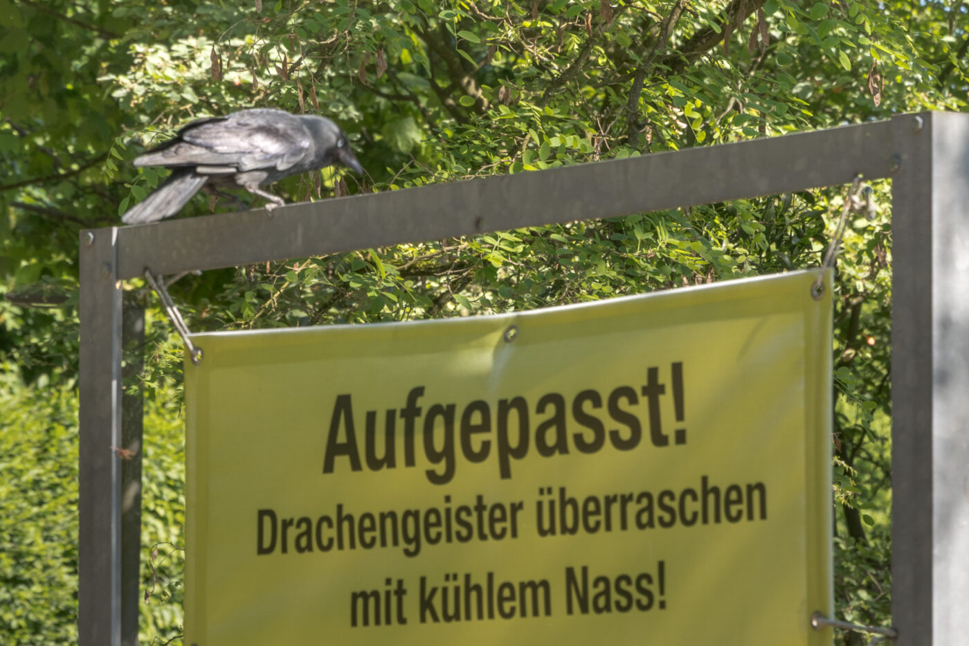 2025-05-14 - Hamm - Maximilianpark