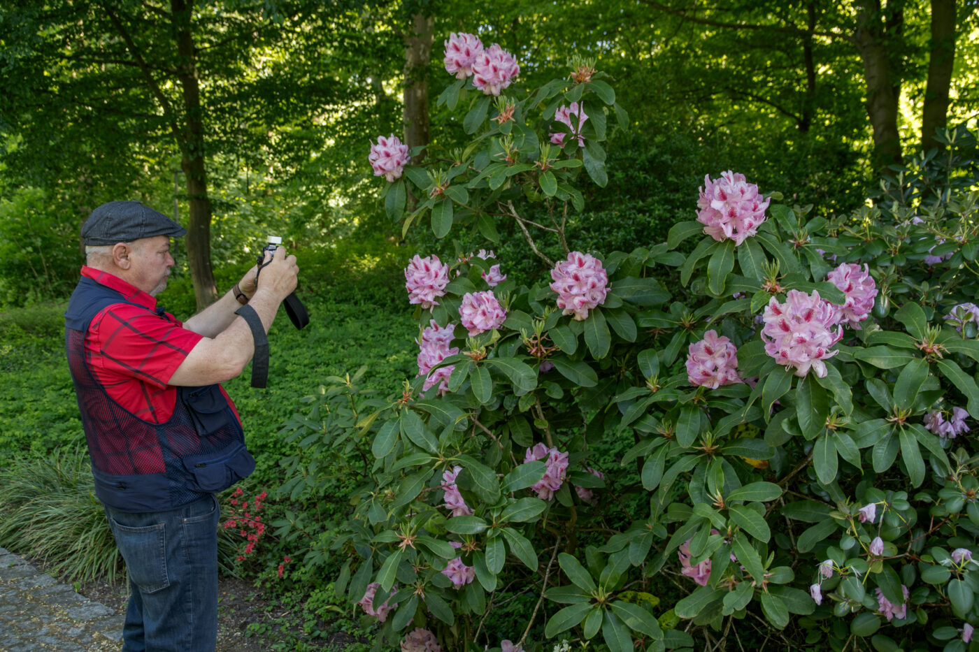 2025-05-14 - Hamm - Maximilianpark