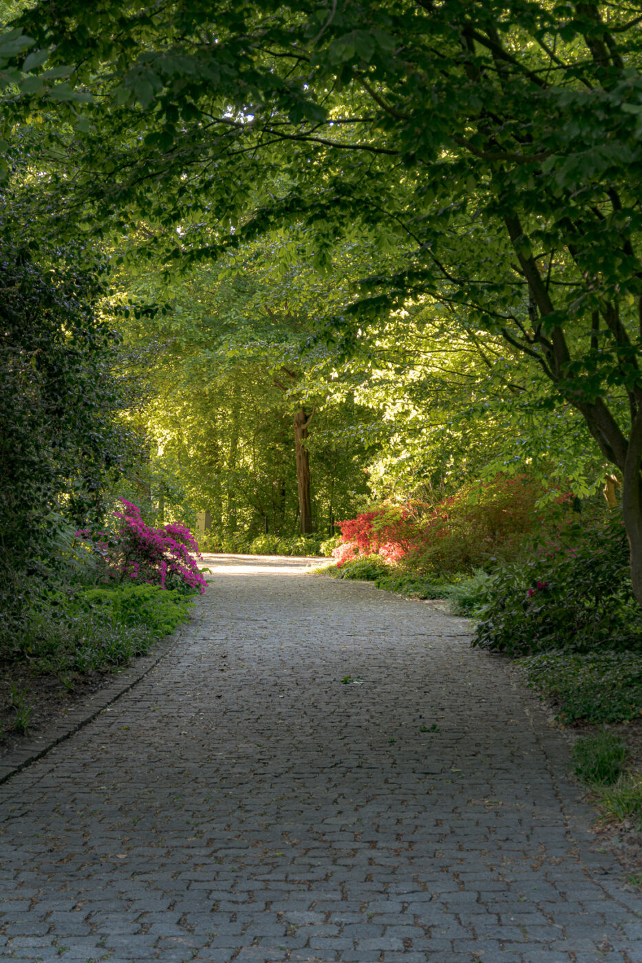 2025-05-14 - Hamm - Maximilianpark