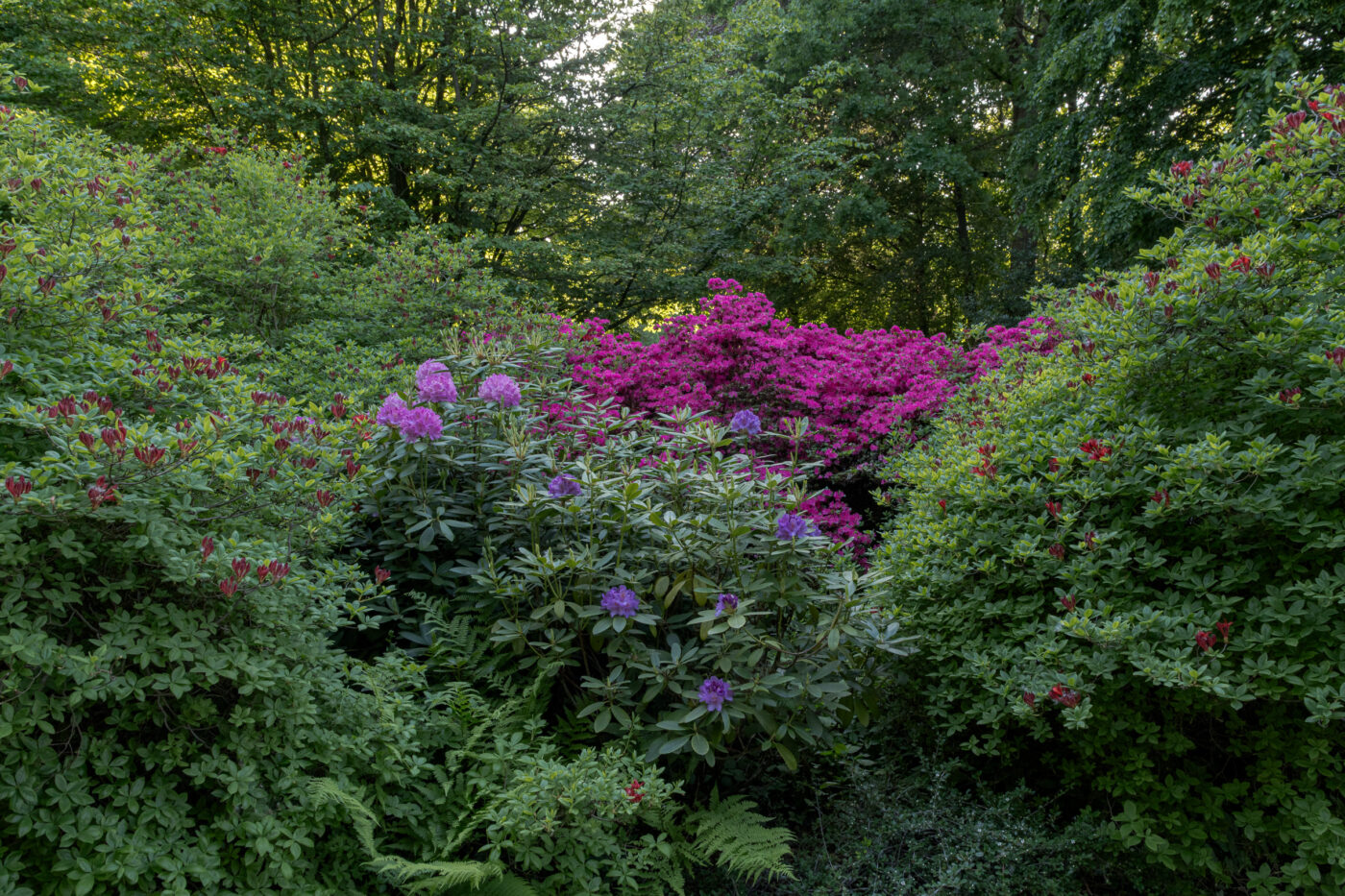 2025-05-14 - Hamm - Maximilianpark