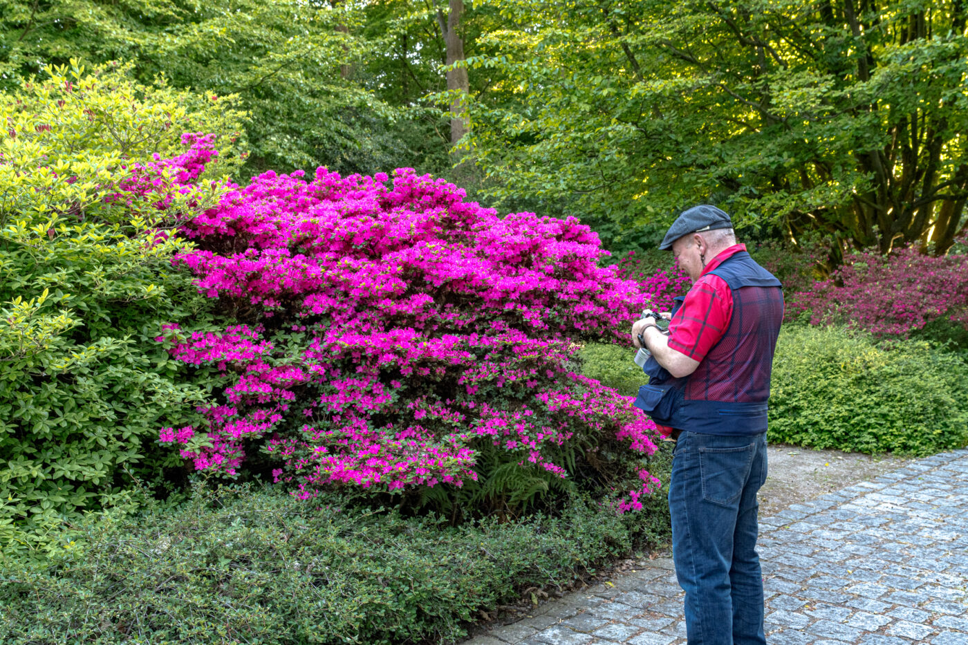 2025-05-14 - Hamm - Maximilianpark