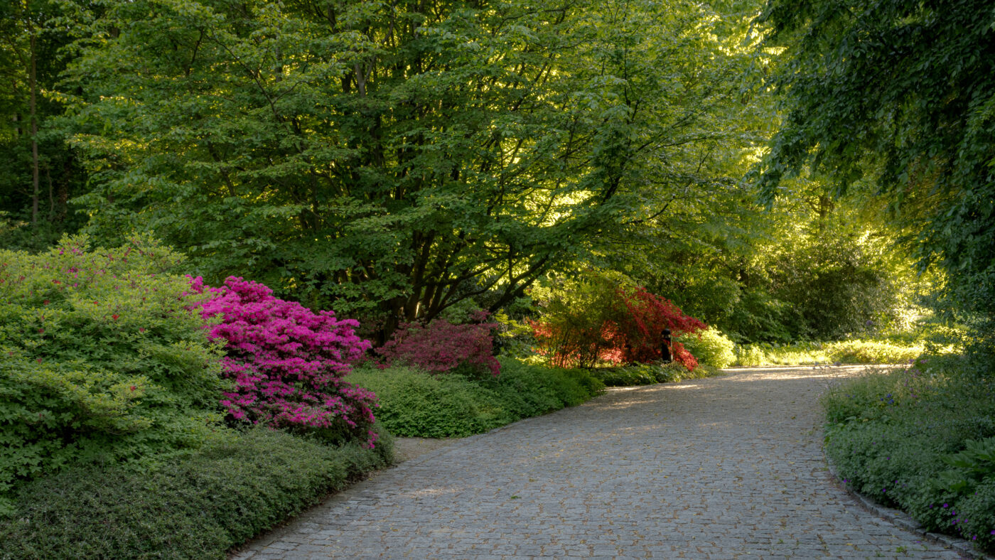 2025-05-14 - Hamm - Maximilianpark