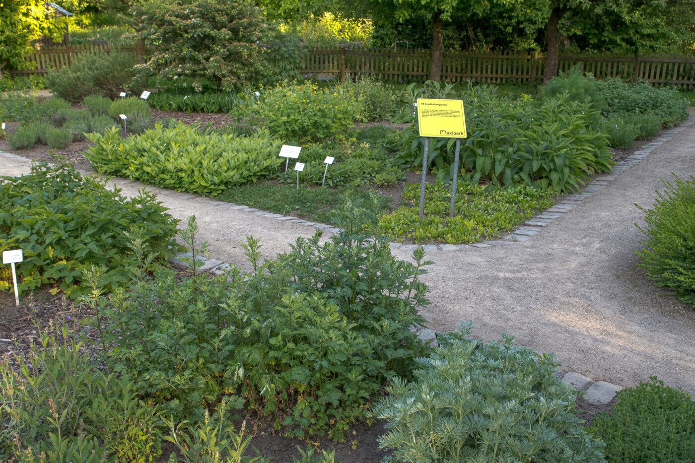 2025-05-14 - Hamm - Maximilianpark