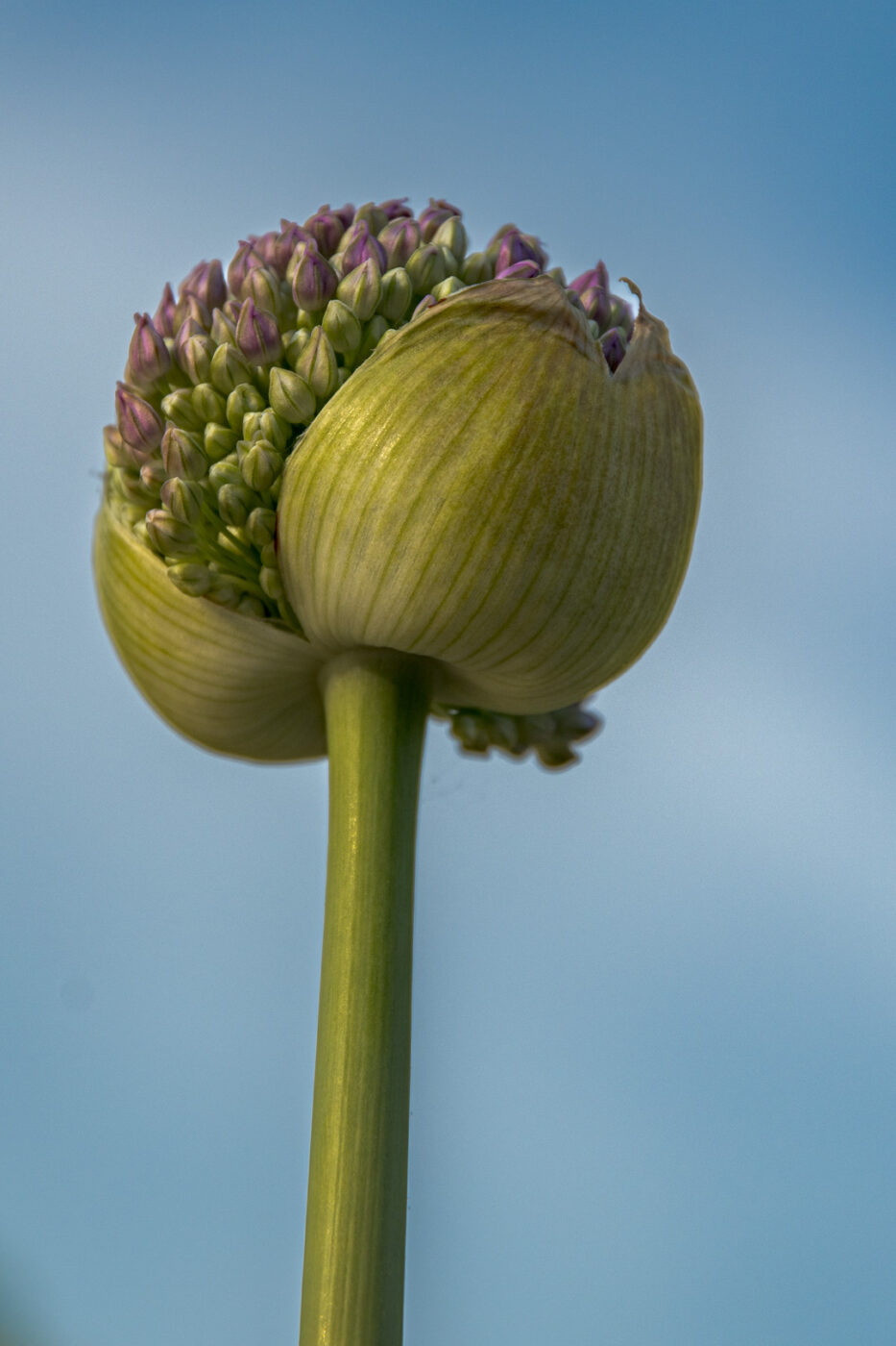 2025-05-14 - Hamm - Maximilianpark