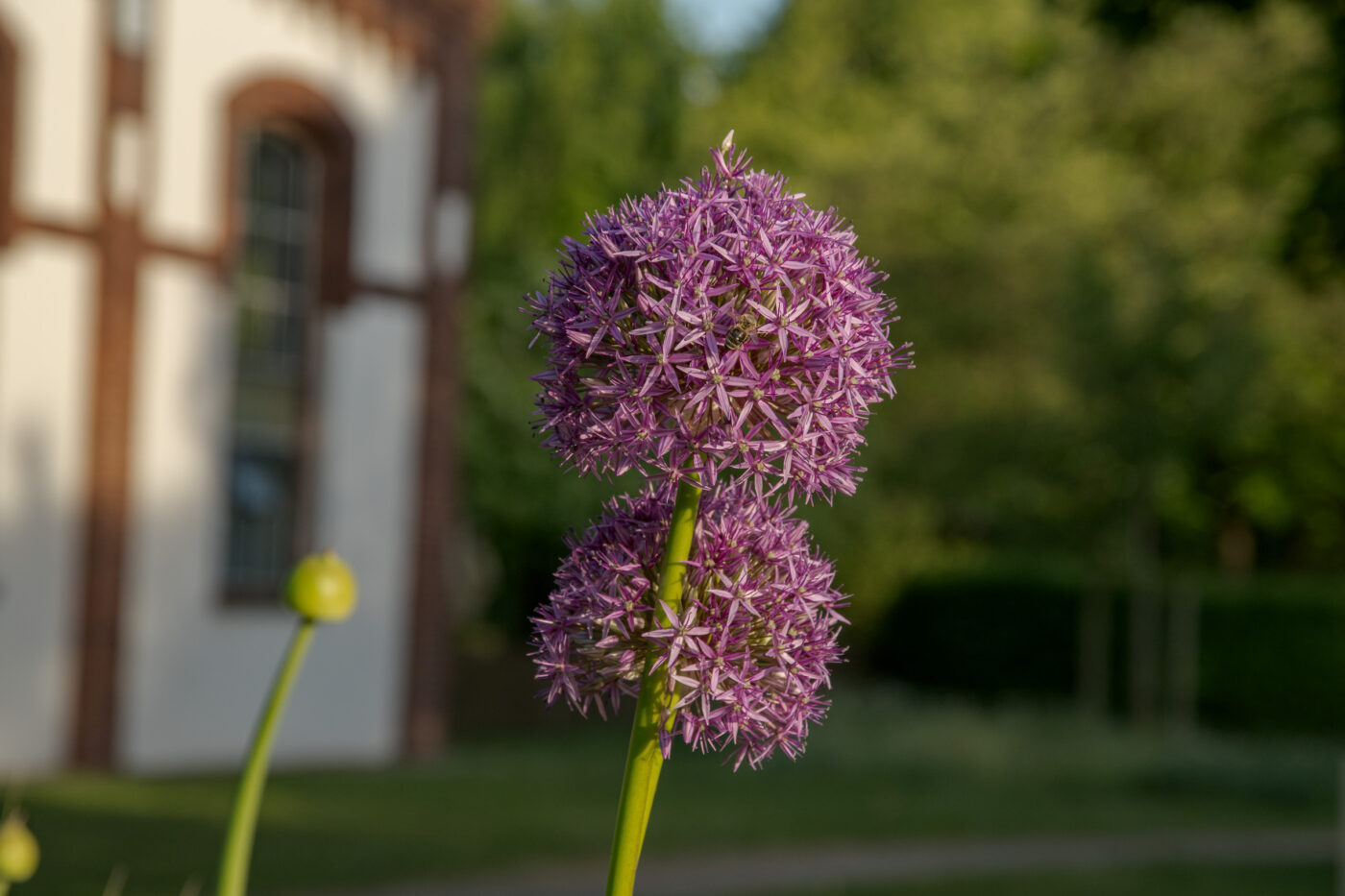 2025-05-14 - Hamm - Maximilianpark