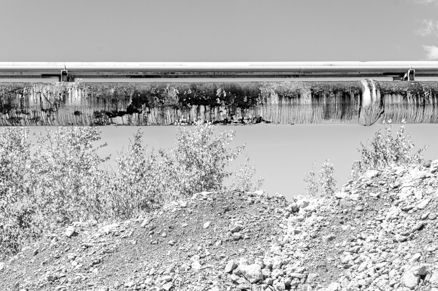 2025-05-16 - Bertlich - Zeche Herten-Westerholt