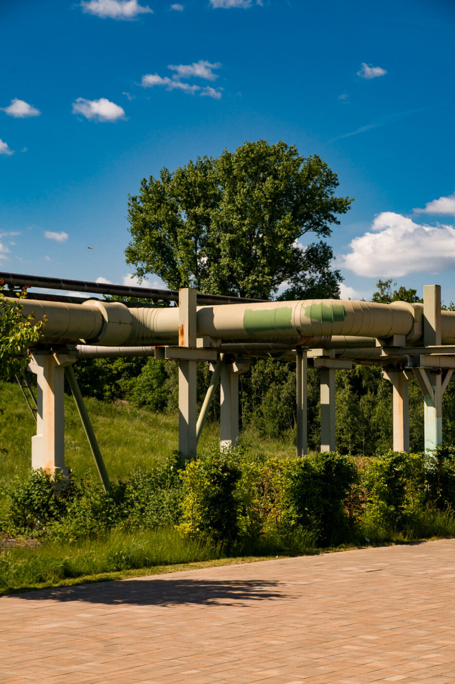 2025-05-16 - Glückauf-Park Hassel
