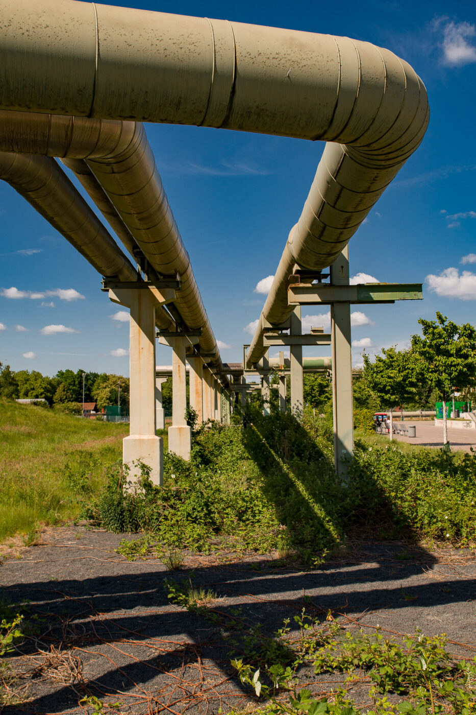 2025-05-16 - Glückauf-Park Hassel