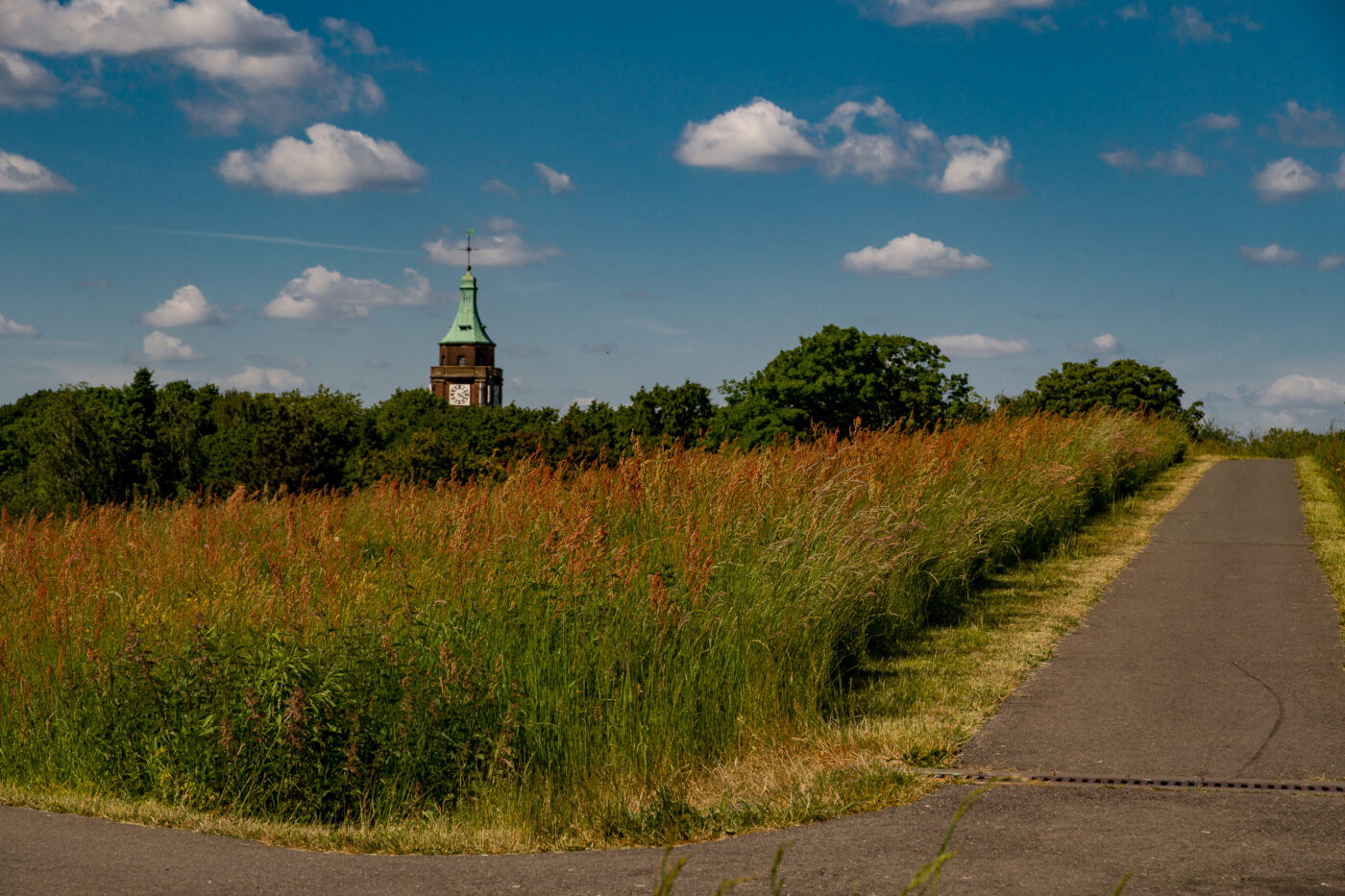 2025-05-16 - Glückauf-Park Hassel