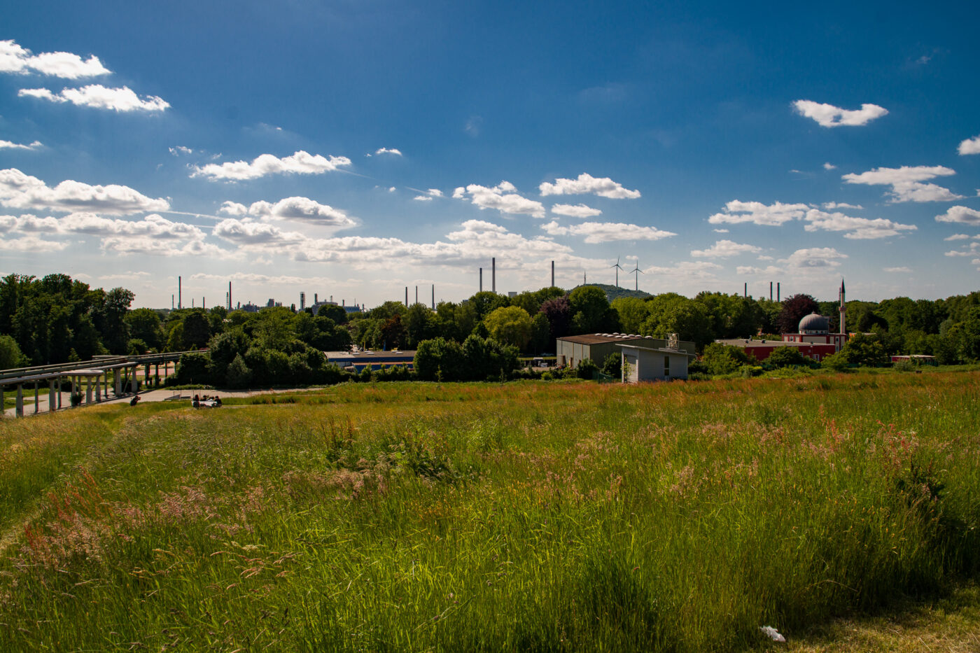2025-05-16 - Glückauf-Park Hassel