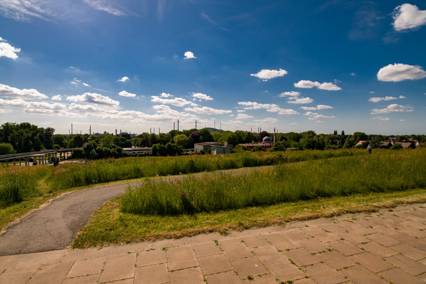 2025-05-16 - Glückauf-Park Hassel
