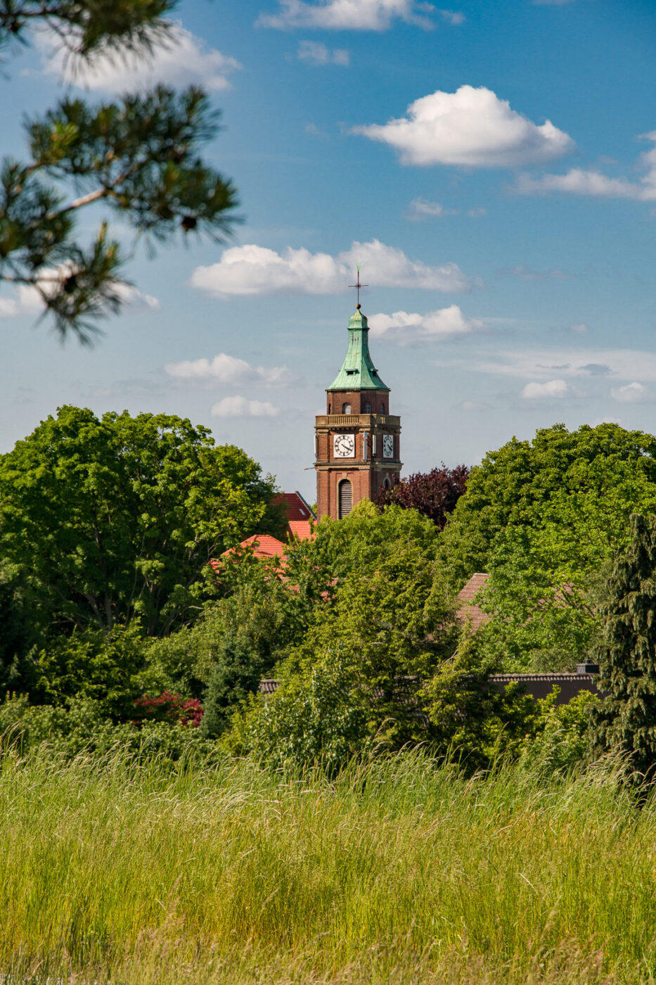 2025-05-16 - Glückauf-Park Hassel