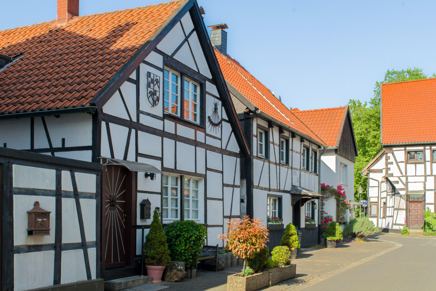 2025-05-16 - Herten - Altes Dorf Westerholt