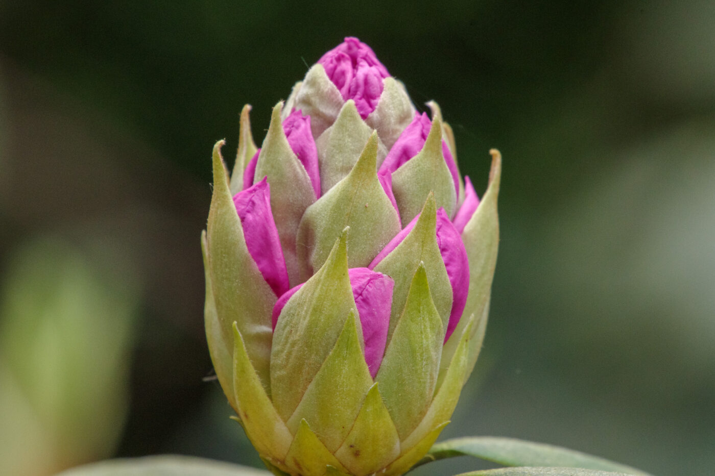 2025-05-21 - Wasserschloß Lembeck