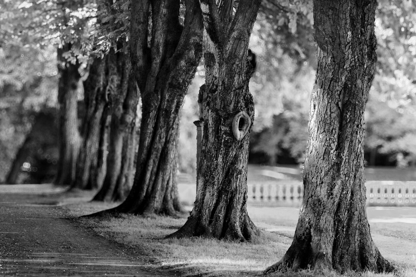 2025-05-11 - Coesfeld - Schloß Nordkirchen
