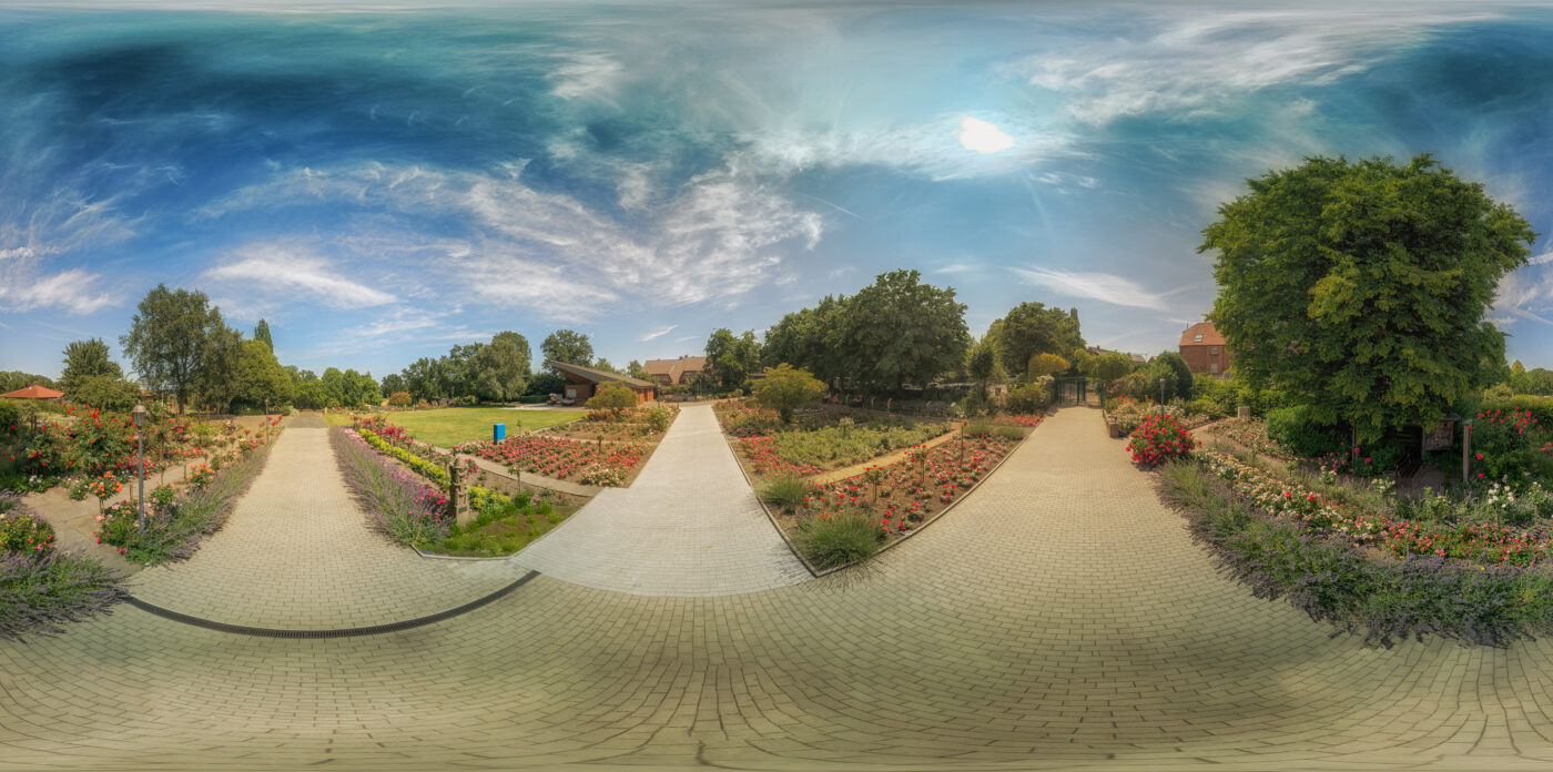 2025-06-20 - Seppenrade - Rosengarten