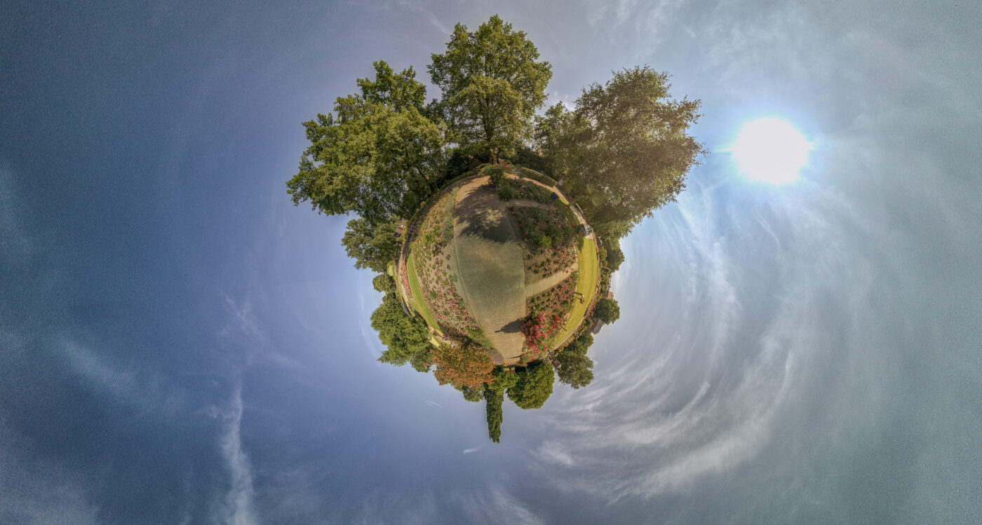 2025-06-20 - Seppenrade - Rosengarten