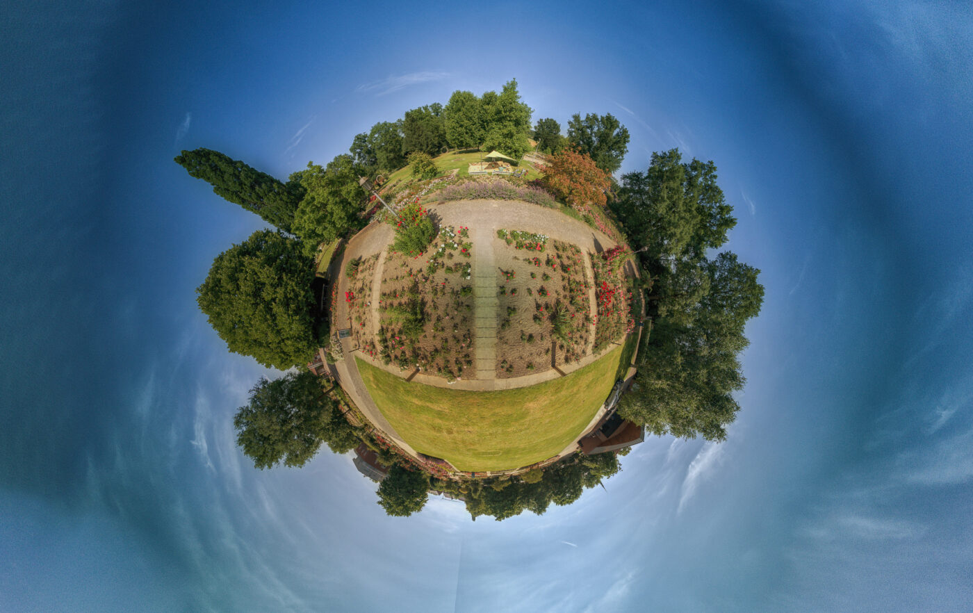 2025-06-20 - Seppenrade - Rosengarten