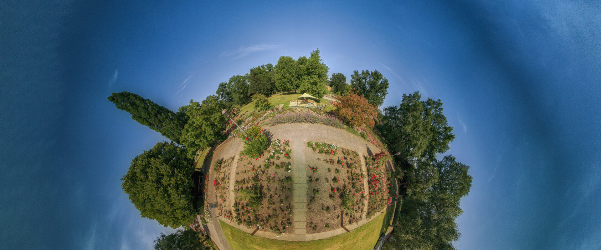 2025-06-20 – Seppenrade – Rosengarten
