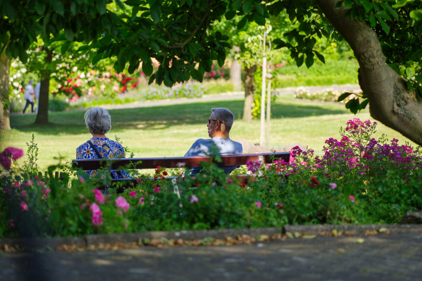 2025-06-20 - Seppenrade - Rosengarten
