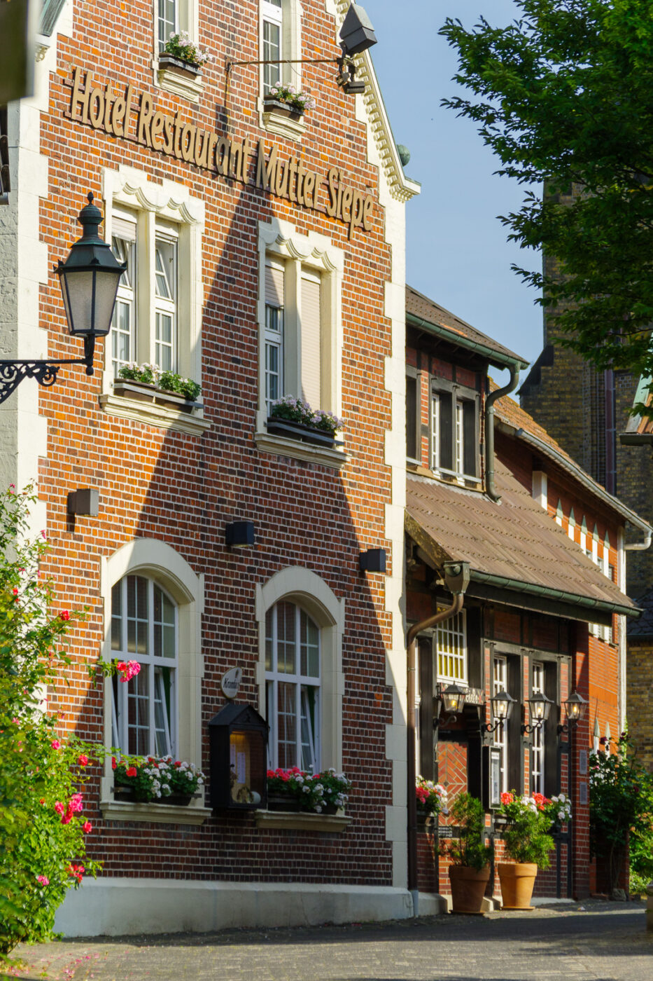 2025-06-20 - Seppenrade - Rosengarten