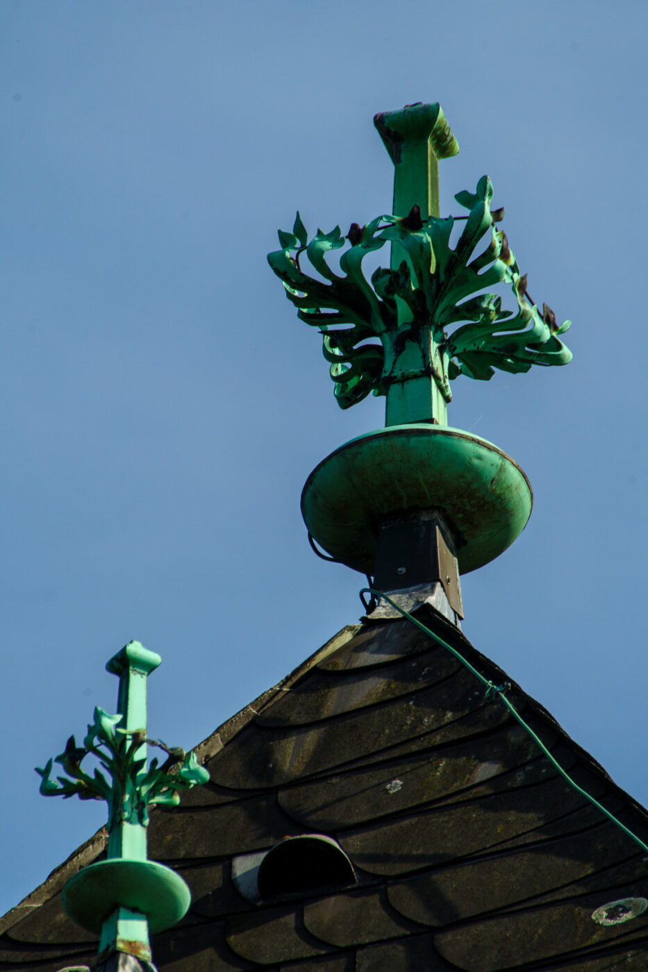 2025-06-20 - Seppenrade - Rosengarten