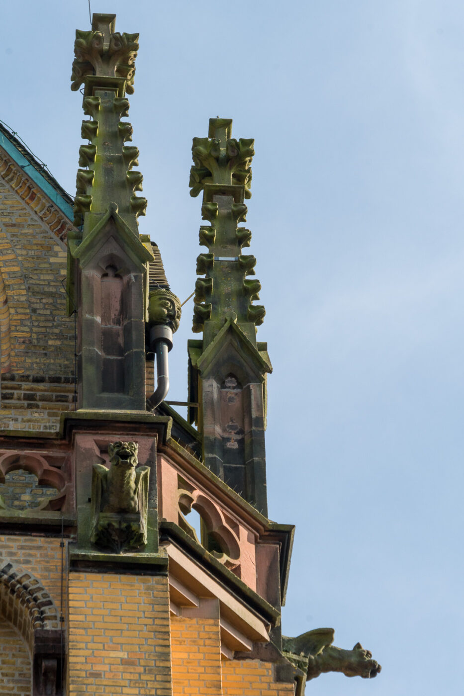 2025-06-20 - Seppenrade - Rosengarten