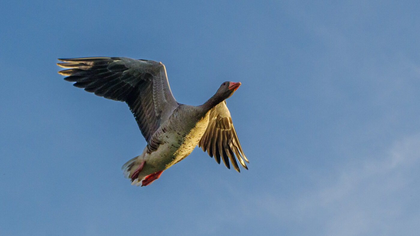 2025-07-18 - Schloß Raesfeld