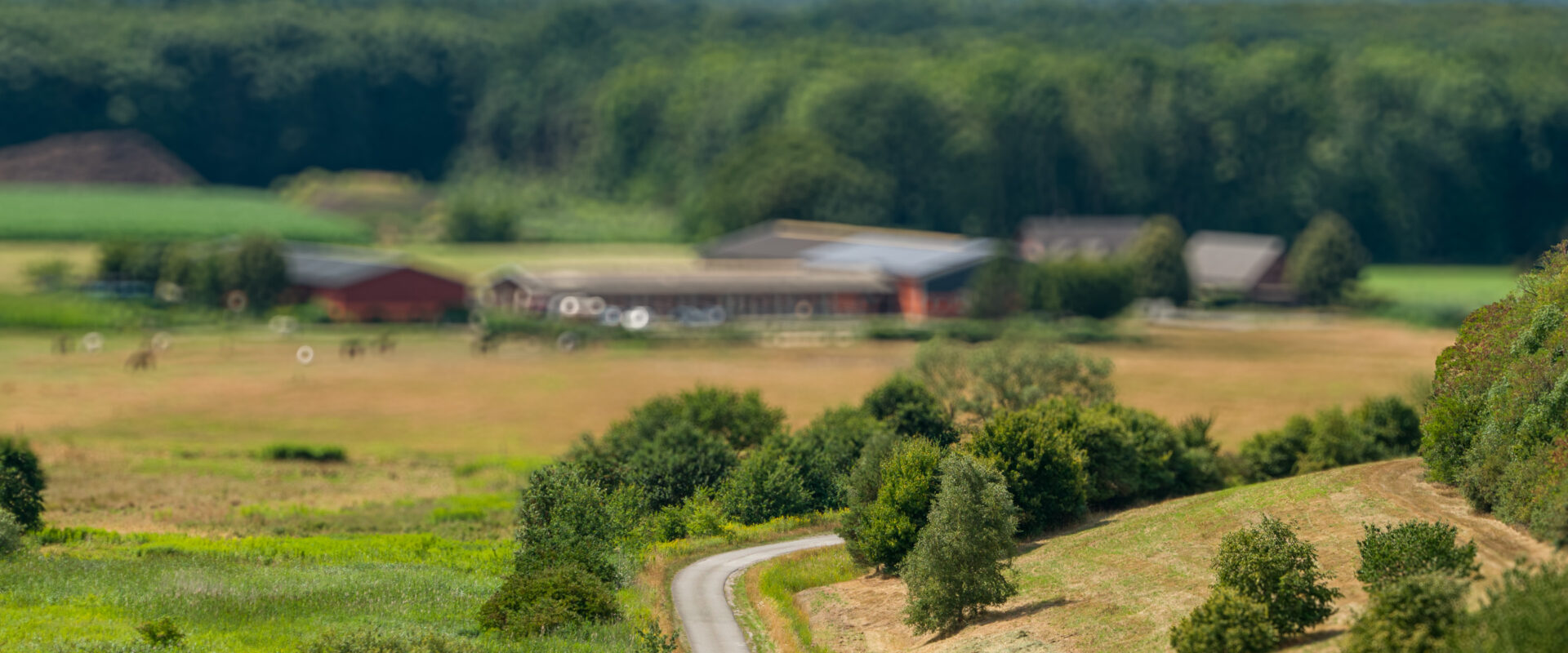 2025-07-30 – NSG Hürfeldhalde, Lippe und Kanal