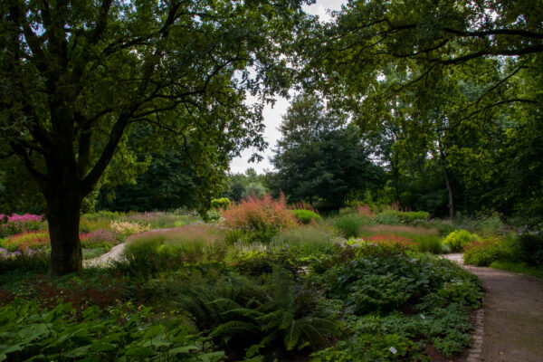 2025-08-10 - Hamm - Maximilianpark - MAXIperium