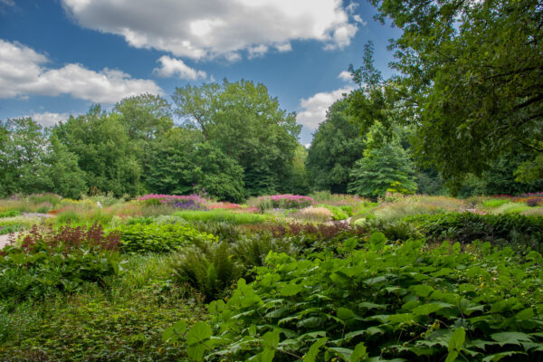 2025-08-10 - Hamm - Maximilianpark - MAXIperium