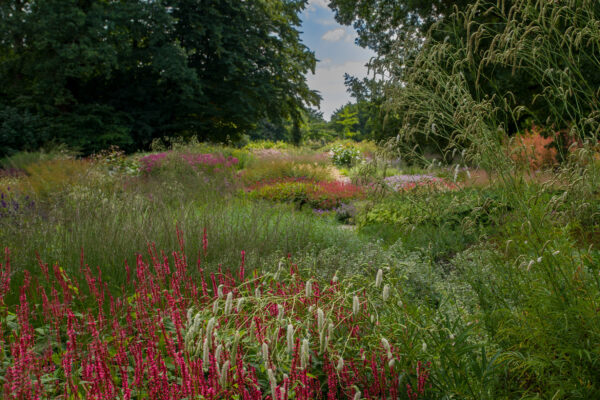 2025-08-10 - Hamm - Maximilianpark - MAXIperium