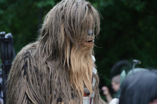 2025-08-10 - Hamm - Maximilianpark - MAXIperium