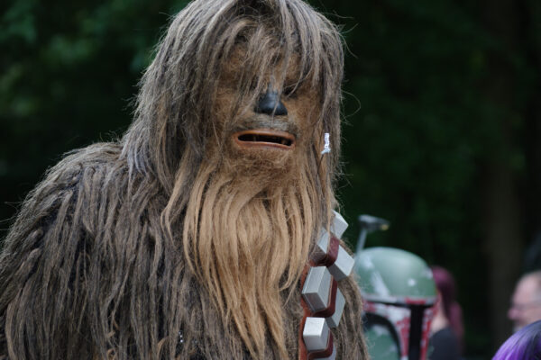 2025-08-10 - Hamm - Maximilianpark - MAXIperium