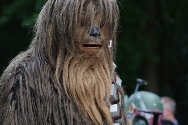 2025-08-10 - Hamm - Maximilianpark - MAXIperium