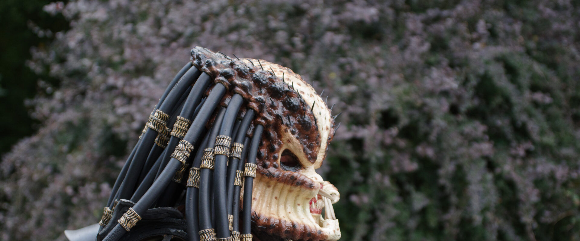 2025-08-10 – Maxipark – MAXIPERIUM – Episode III Das Cosplay-Event – Teil 2