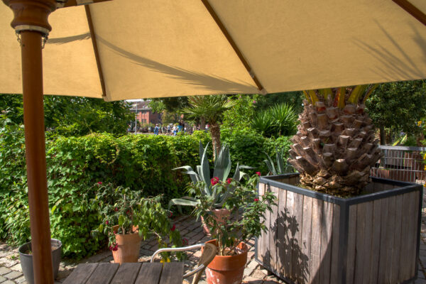 2025-08-10 - Hamm - Maximilianpark - MAXIperium