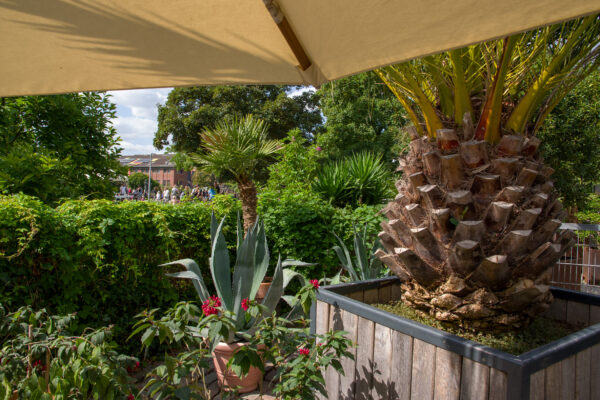 2025-08-10 - Hamm - Maximilianpark - MAXIperium