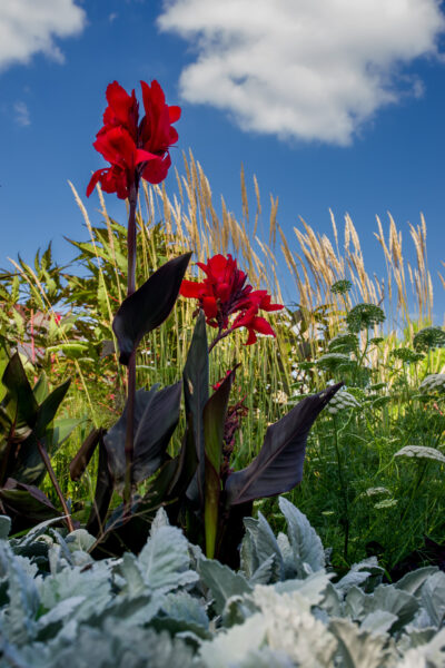 2025-08-10 - Hamm - Maximilianpark - MAXIperium