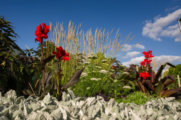 2025-08-10 - Hamm - Maximilianpark - MAXIperium