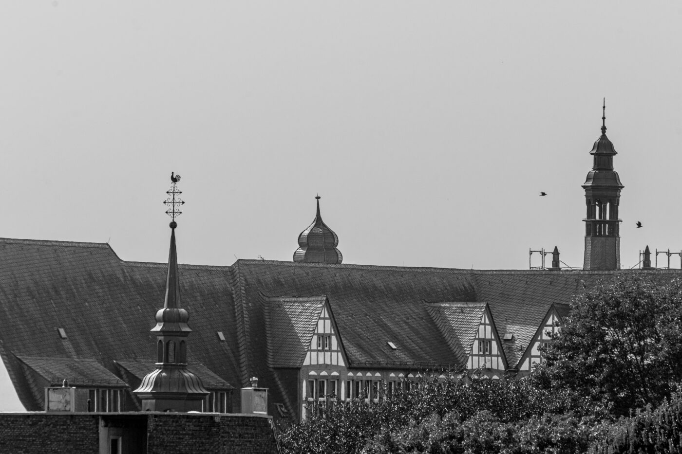 2025-08-13 - Motivsuche in Recklinghausen