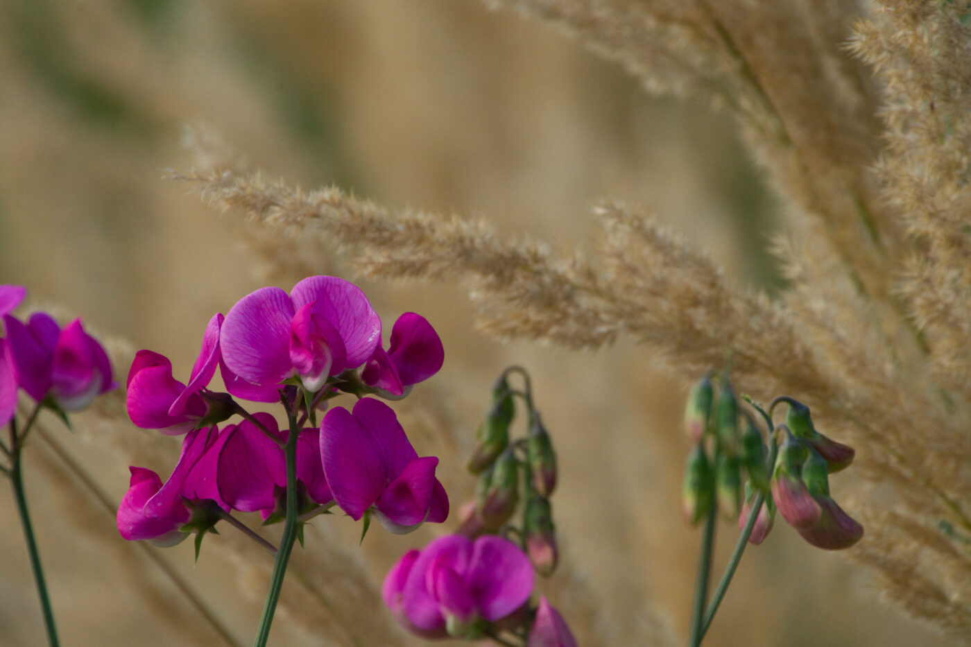 2025-08-13 - Motivsuche in Recklinghausen