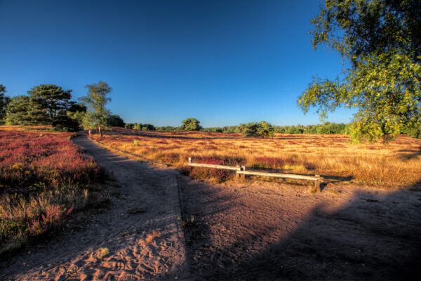 2025-08-18 - NSG Westruper Heide Haltern