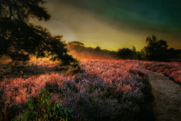 2025-08-18 - NSG Westruper Heide Haltern