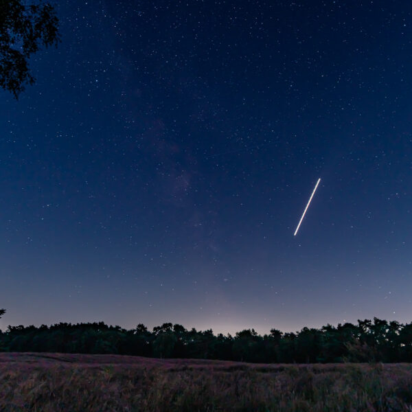2025-08-18 - NSG Westruper Heide Haltern