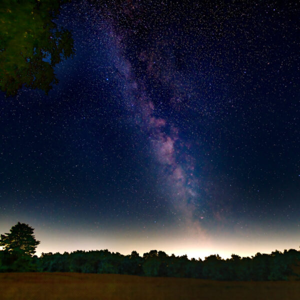 2025-08-18 - NSG Westruper Heide Haltern