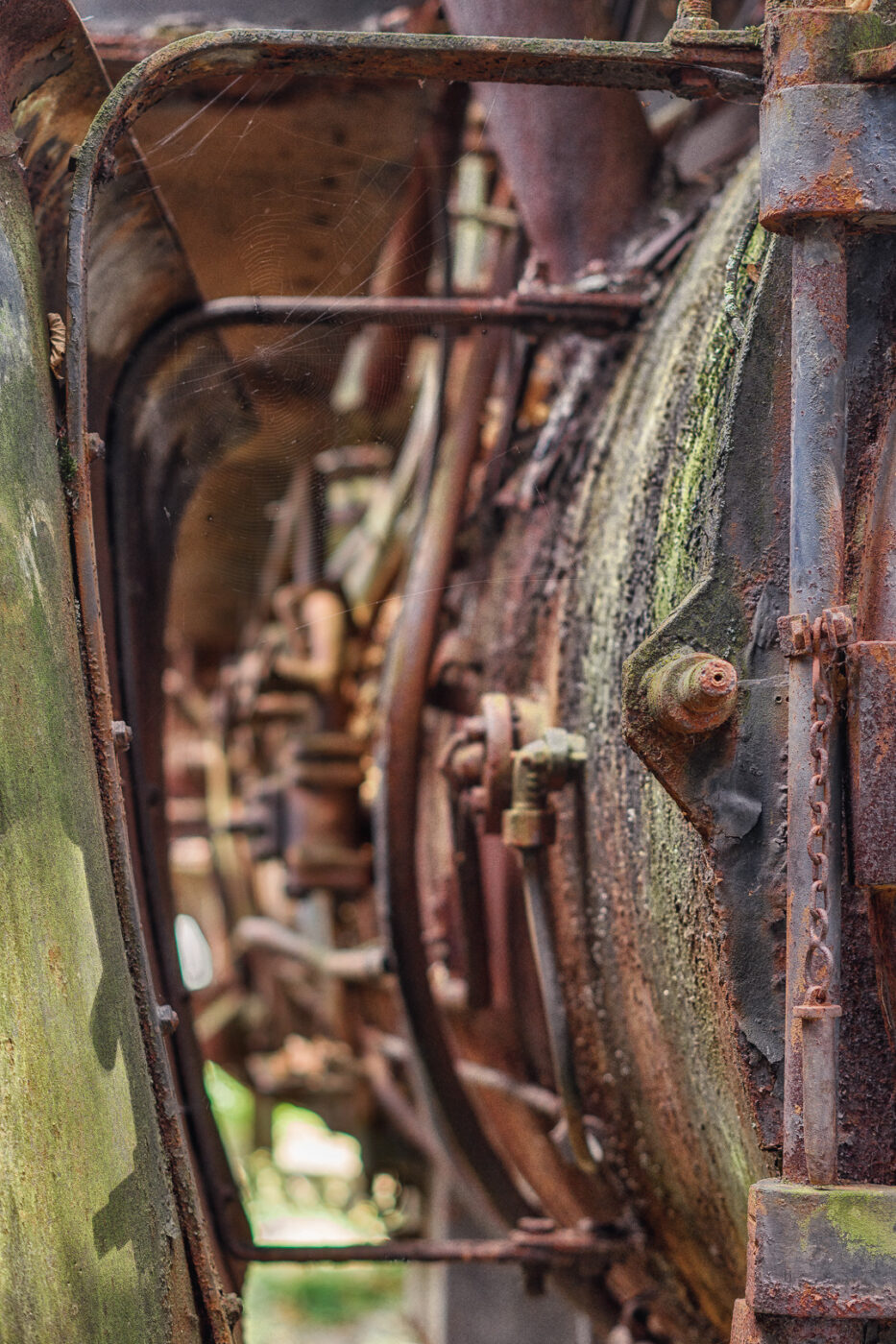 2025-08-20 - Marl - See am Marler Stern